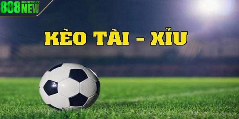 Chờ ít nhất 15 đến 20 phút sau khi trận đấu bắt đầu dự đoán